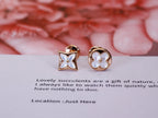 [MIRA]STAR AND SUN PINK GOLD MOP STUD EARRINGS
